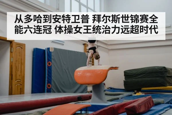 gymnastics vault